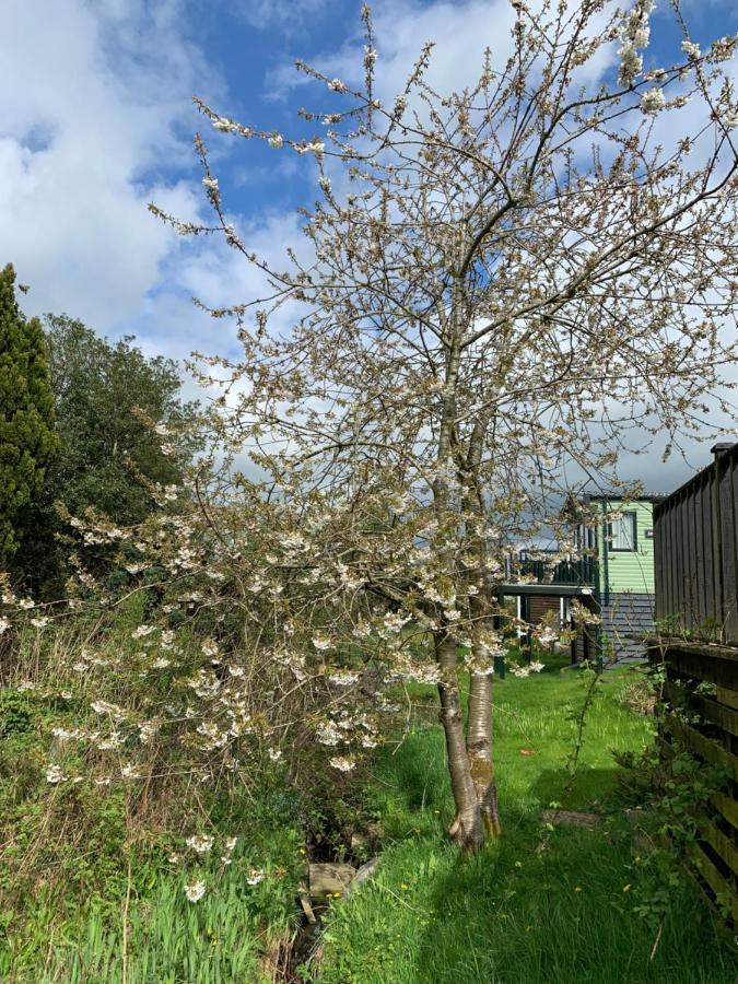 Delightful 3 Bedroom Holiday Home With Balcony Overlooking Fields And A Stream Gisburn Eksteriør billede